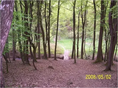 img14.jpg