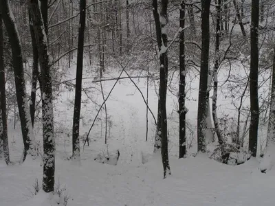img24.jpg