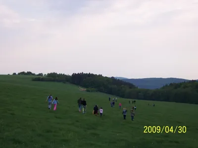 100-7254.jpg