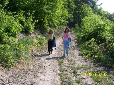 100-7381.jpg