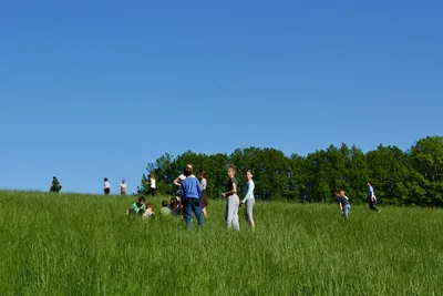 dsc-5695.jpg