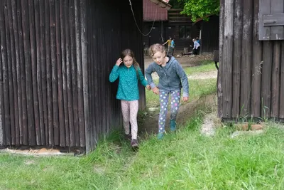 dscf0798.jpg