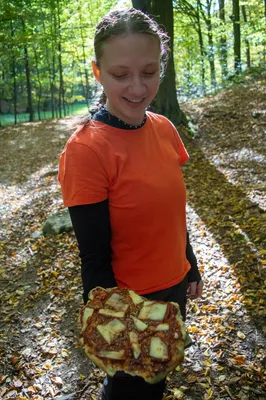 dsc6795.jpg
