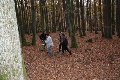 img-3386.jpg