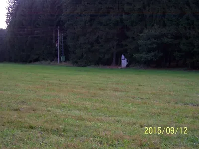 oldskauti-histor-47.jpg