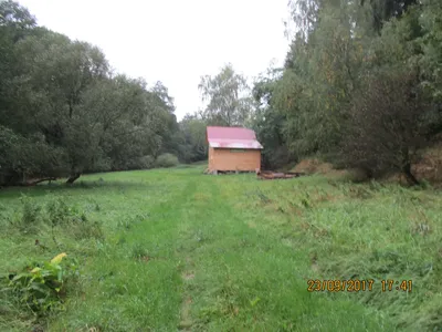 img-1200.jpg