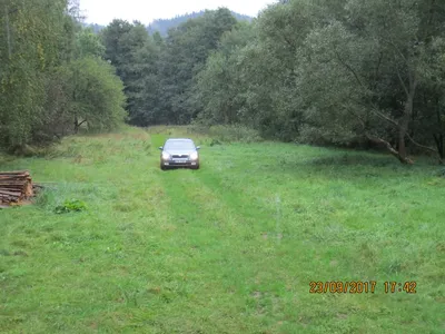 img-1201.jpg