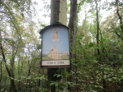 img-2677.jpg