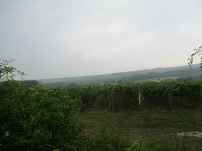 img-2703.jpg