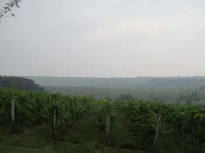 img-2705.jpg