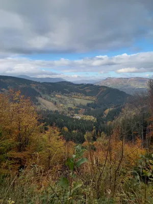 20211023-103703.jpg