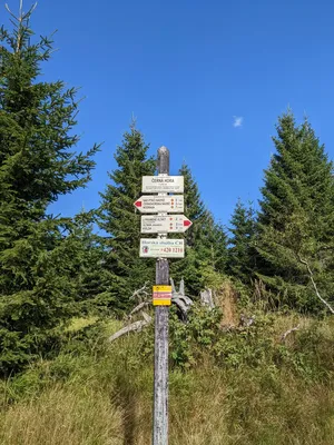 pxl-20220816-143023536.jpg