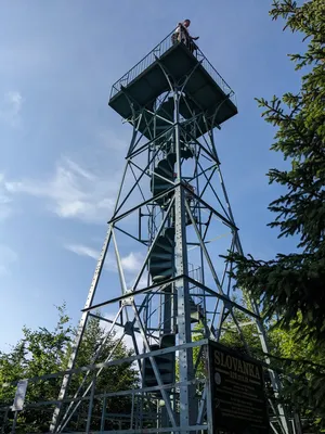 pxl-20230705-164233143.jpg