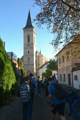 dsc-3674.jpg