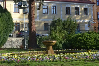 dsc-3681.jpg