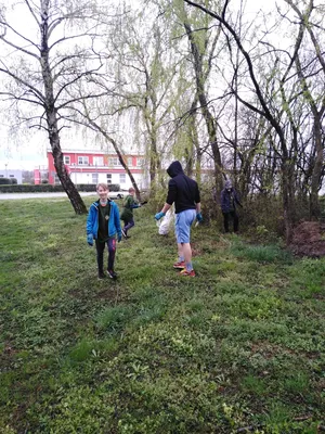 cisty-frystak-18.jpg