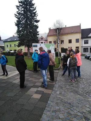 cisty-frystak-3.jpg