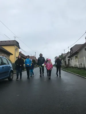 cisty-frystak-9.jpg