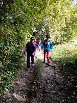img-20191012-102707.jpg