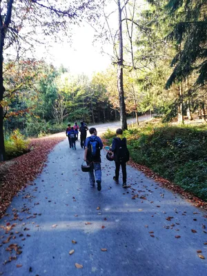 img-20191026-152401-01.jpg