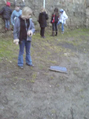 dsc00545.jpg