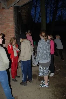 41.jpg