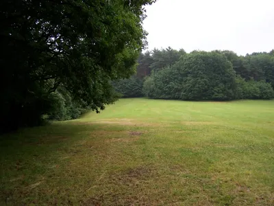 100-0677.jpg