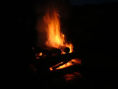 p1110205.jpg