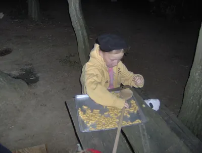 hpim0701.jpg