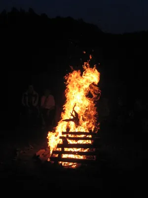 100-7830.jpg