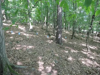 dscn2121.jpg