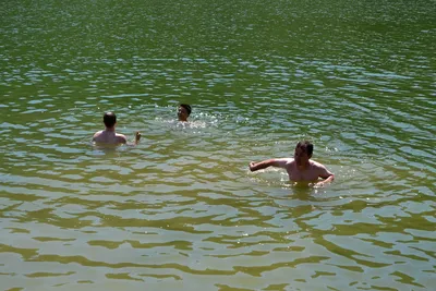 dsc-7368.jpg