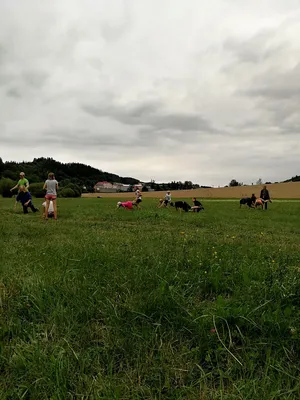 tábor-2018--249.jpg