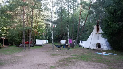 359.jpg