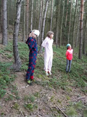 481.jpg