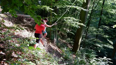 dscf4515.jpg