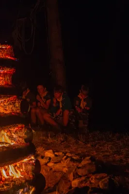 dsc2866.jpg