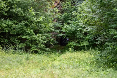 dsc3154.jpg