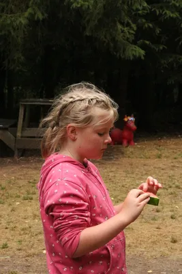 img-9003.jpg