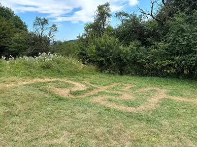 866img-2509.jpg