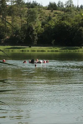 img-0670.jpg