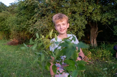 dsc8365.jpg