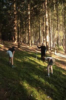 img-5333.jpg