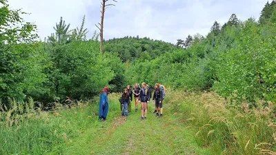 20260720-1442-03.jpg
