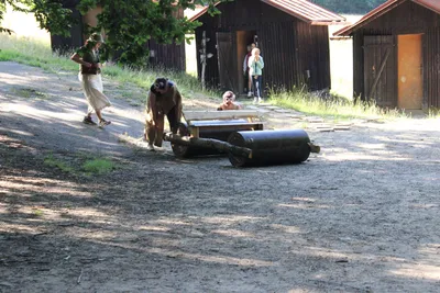 img-1266.jpg