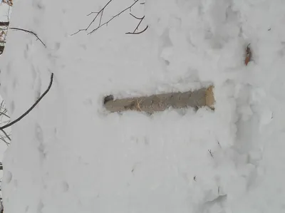 p2040066.jpg