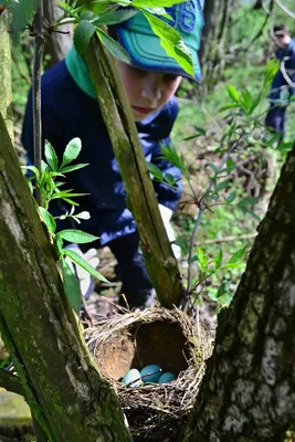 dsc-6326.jpg