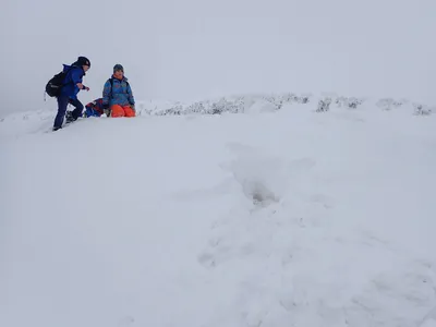 p2171026.jpg