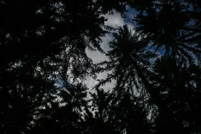 dsc9726.jpg