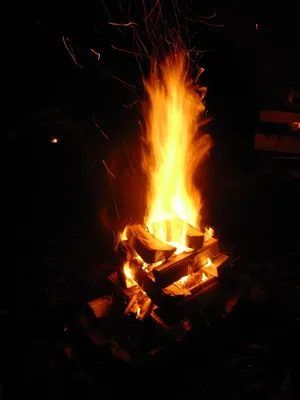 dscn2081.jpg